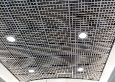 Macro grid gypsum ceiling design