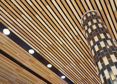 False Ceiling with Wooden Stripes and Spotlights