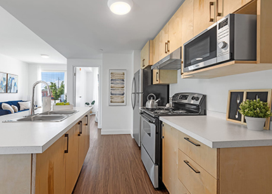 Modern Kitchen Design with Champagne-Toned Cabinets